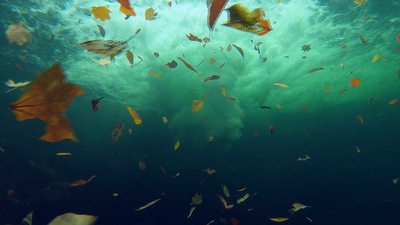 滝を水中から見ると･･･