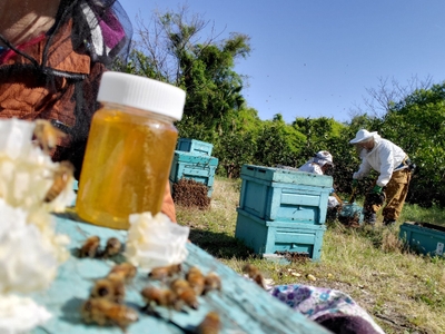 Y8Wp6XpqZYiaqp1tP24u.jpg?w=940&h=940