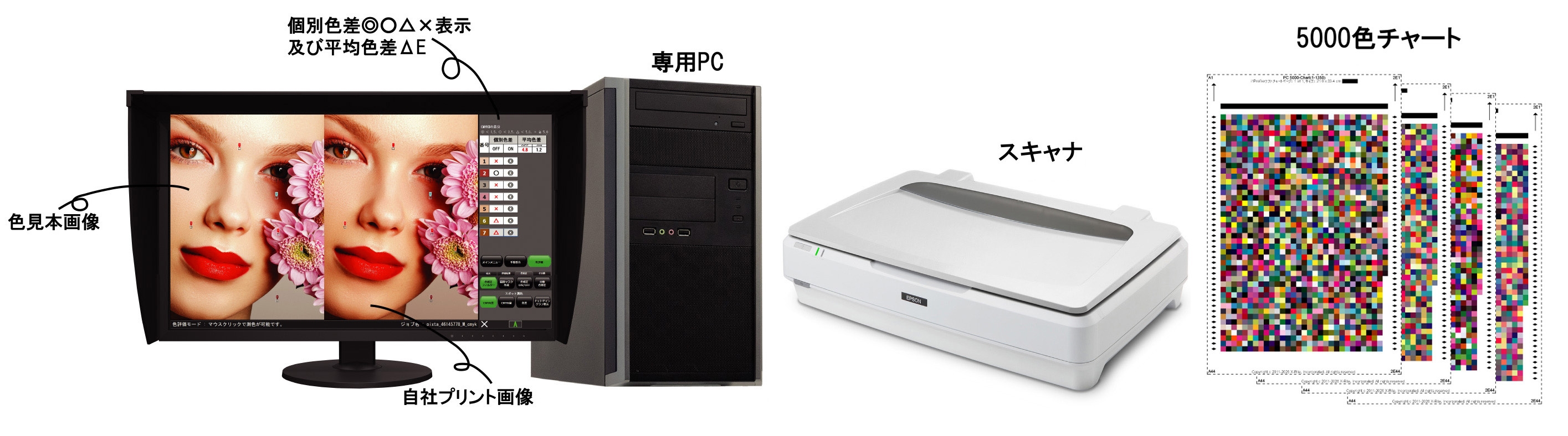 y.tomo様 カラーテスト 世界初、色見本と印刷物の絵柄での数値色合わせを 自動化した