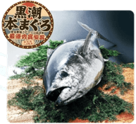 YA3my363Fx43rIvBfbCG.png?w=940&h=940