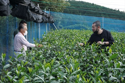 YA5XH8Oh4xHpO0oIHSZZ.jpg?w=940&h=940