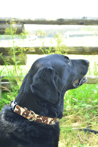 YB8dRCZzxKh2LuX6r0f6.png?w=940&h=940