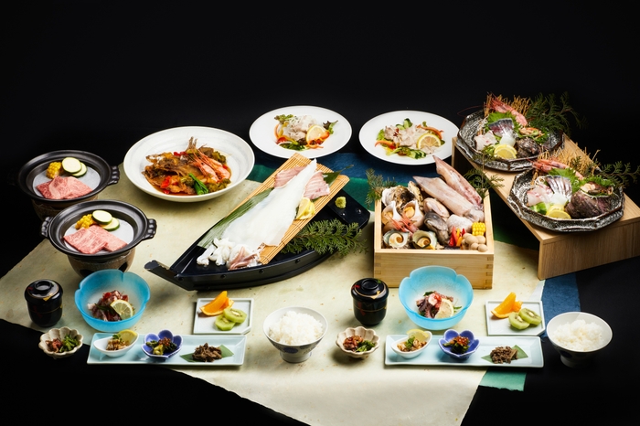 朝とれイカプラン