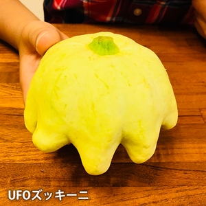 UFOズッキーニ
