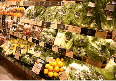 種類豊富な有機野菜コーナー