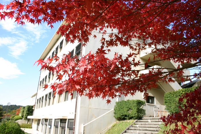 秋模様の麗澤瑞浪中学・高等学校 校舎