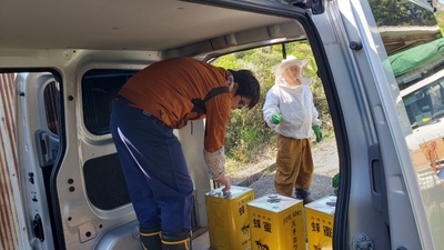 YFJD82OWdOsrmcUCmWBK.jpg?w=940&h=940