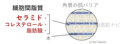 YFvzxn4GbMB504jZl4G3.jpg?w=940&h=940