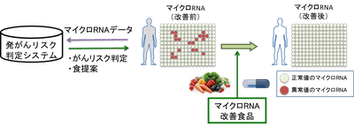 ※2 「食生活の提案によるがん予防」のイメージ