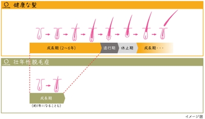 YGmfFchSOCjvQMgQbTsb.jpg?w=940&h=940