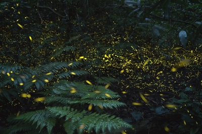 YHQ3in8FTWhbrdkmUpKr.jpg?w=940&h=940