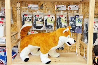 YHjSQeRmnPGHxNj0JeeR.jpg?w=940&h=940