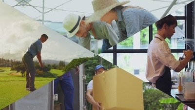 YHolycusHZhMTSGgqEtT.jpg?w=940&h=940