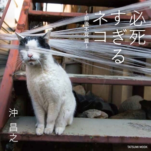 YHsObRQ5EgneWntoqrqv.jpg?w=940&h=940