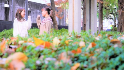 YI6ai9Bw7R4OtvrHFBkJ.jpg?w=940&h=940