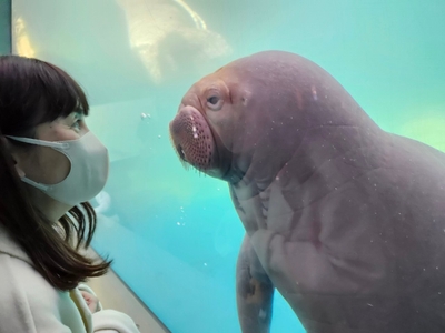 YIJuIMPa6sWxz7GHp3mB.jpg?w=940&h=940