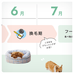 POINT１.季節ごとの健康ポイント