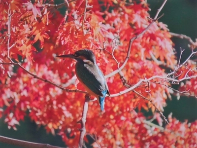 YJgadf7P6oRrSszaPPaz.jpg?w=940&h=940