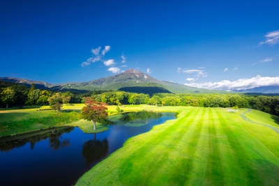 YK2b8zdZxUkTTaRP52J9.jpg?w=940&h=940