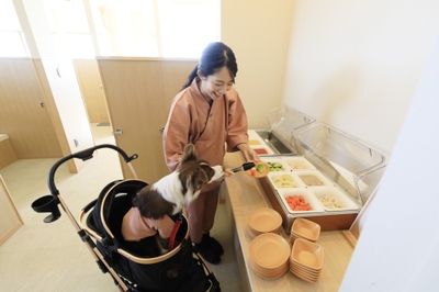ワンちゃん専用ビュッフェ