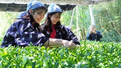 YKyNZ8mTWKekm4bCWqhK.jpg?w=940&h=940