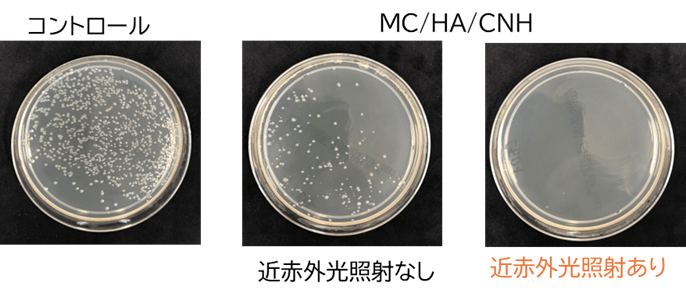 図2. A.a菌培養後の寒天培地。MC/HA/CNH混合なし(コントロール)と比較してMC/HA/CNH混合後は細菌のコロニーは減少し、さらに近赤外光照射するとコロニーは観察されなくなった。