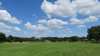 武蔵野の森公園 大芝生広場