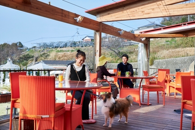 YLQQkSAFy8YCpXF5wDWG.jpg?w=940&h=940