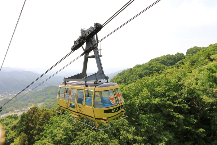 宝登山ロープウェイ　イメージ
