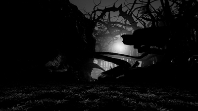 YM5pHWnIulvuRehSO8so.jpg?w=940&h=940