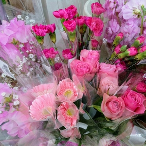 YM7UjcvuBjnmPIcU3JNj.jpg?w=940&h=940