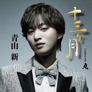 「十三ヶ月」（TYPE 丸）ジャケット写真