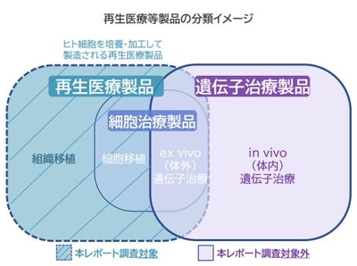 YO8wQTTn3e06IJvx3aYY.jpg?w=940&h=940