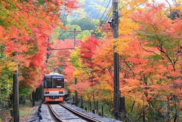 2025年11月7日（金）～12月12日（金）に 「秋ダイヤ」を実施します