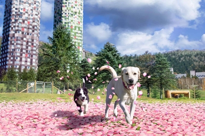 YQFOxmFynsBYNZNOUBX9.jpg?w=940&h=940