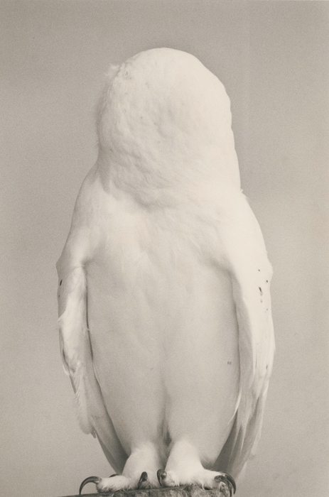 山本昌男《川 #1637》2015年 (C)Yamamoto Masao