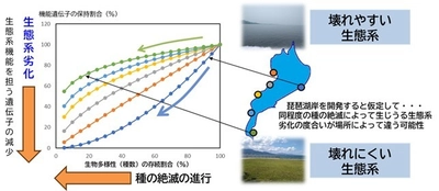 一杯の水・一掴みの土から生態系の壊れにくさを診断しよう　～細菌群集が担う生態系レジリエンス診断評価技術の開発～