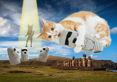 YRpjrWhTriAUMkruoMq8.jpg?w=940&h=940