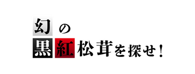 YRy9HG7xiYKtstJwc6tu.png?w=940&h=940