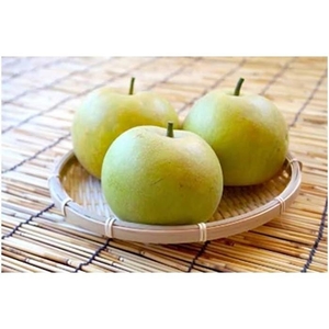 YSLEX5BtCozGJHB6b5V6.jpg?w=940&h=940