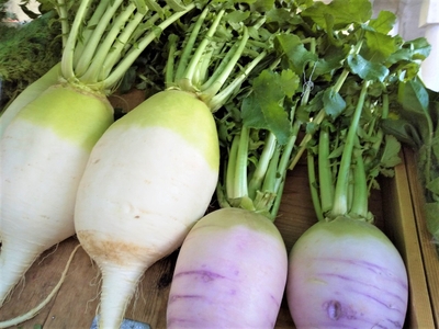 YSfRgEFgRUoS5B11CunO.jpg?w=940&h=940