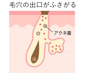 YUfDtJlFkirtzASDCZKi.jpg?w=940&h=940