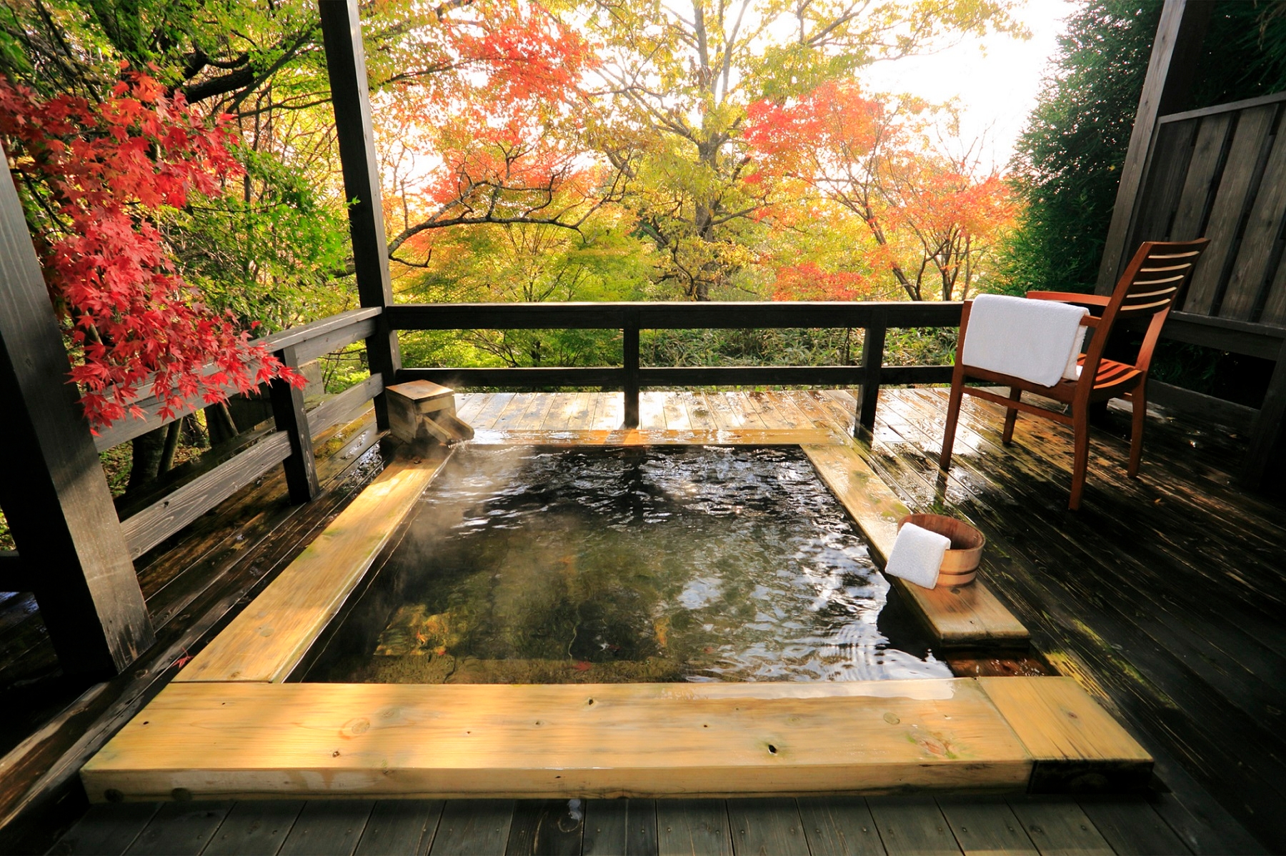 【界 阿蘇】～地元の温泉旅館で魅力を再発見、安心安全な旅～界 阿蘇「秋のマイクロツーリズム」｜情報対象期間：2020年9月1日～11月30日
