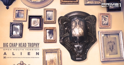 YZ62OKaAtRdsNQSuHBOk.jpg?w=940&h=940