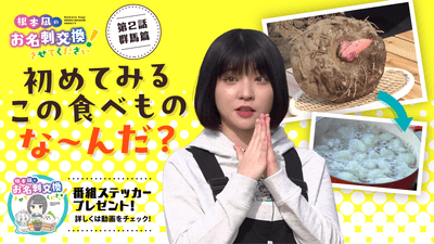 YaA0mi6dE1Medn2xqavy.png?w=940&h=940