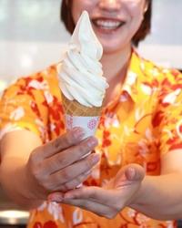 発売から19年・累計300万本突破！塩をかけて食べる新感覚ソフト～雪塩ソフトクリーム～