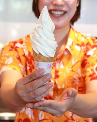 発売から19年・累計300万本突破！塩をかけて食べる新感覚ソフト～雪塩ソフトクリーム～