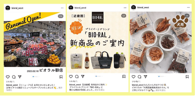 Yaloyuz9e7KAvP03g237.png?w=940&h=940