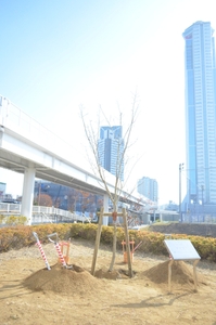 YcloHiw4VkawMwpCXi5g.jpg?w=940&h=940