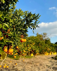 YcsOuH5NxN8Aj0zjII7y.JPG?w=940&h=940